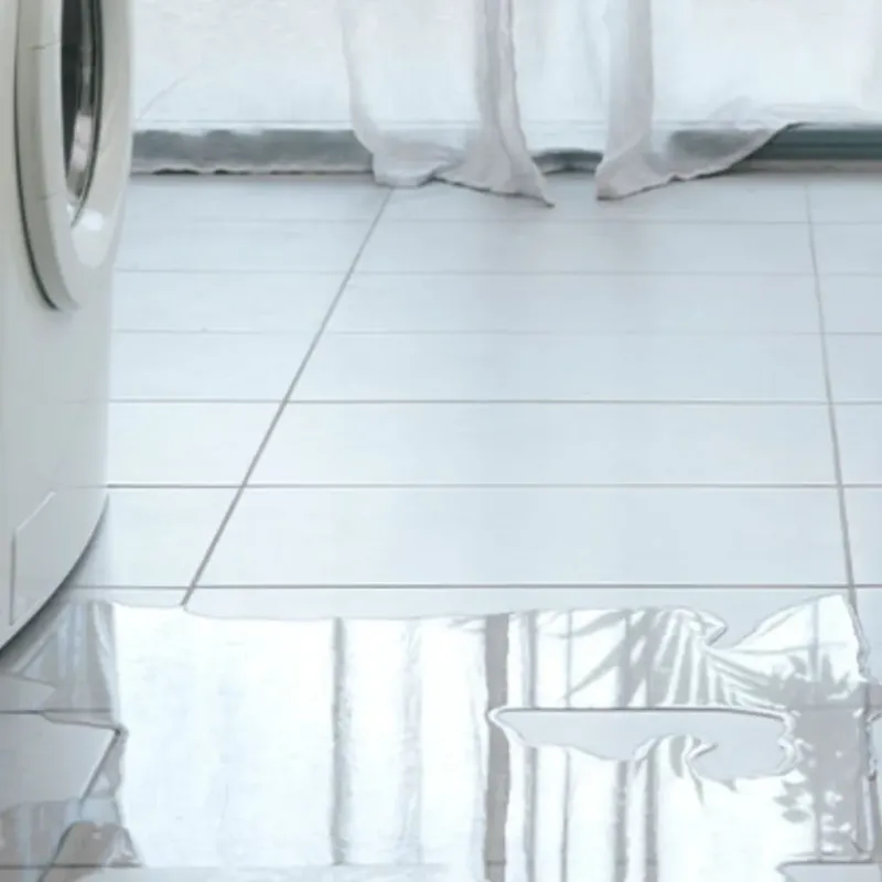 Appliance Leak Cleanup in Shorewood, IL