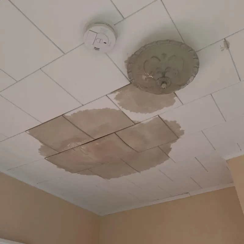 Ceiling Water Damage Repair in Shorewood, IL