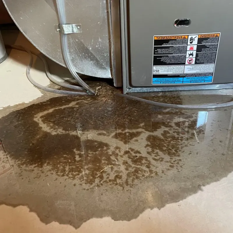 Pipe Burst and Leak Restoration in Shorewood, IL