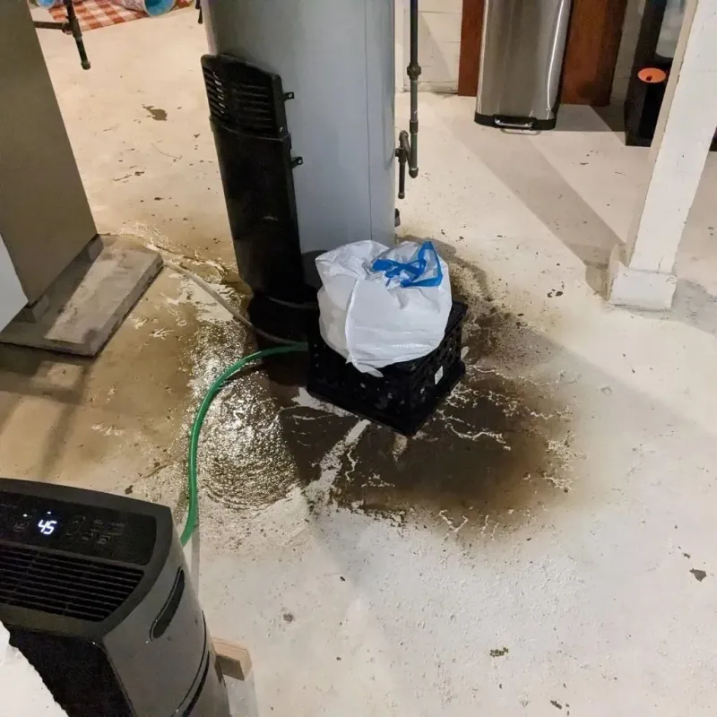 Sewage Backup Cleanup Service in Shorewood, IL